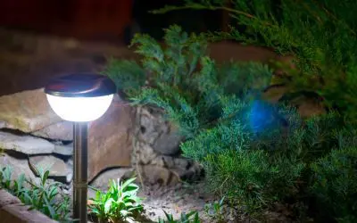 5 Uses of Solar Lighting