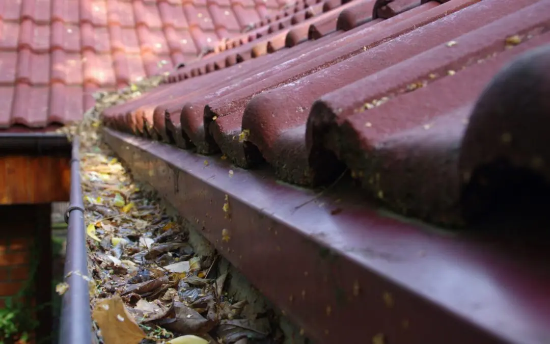 cleaning your gutters