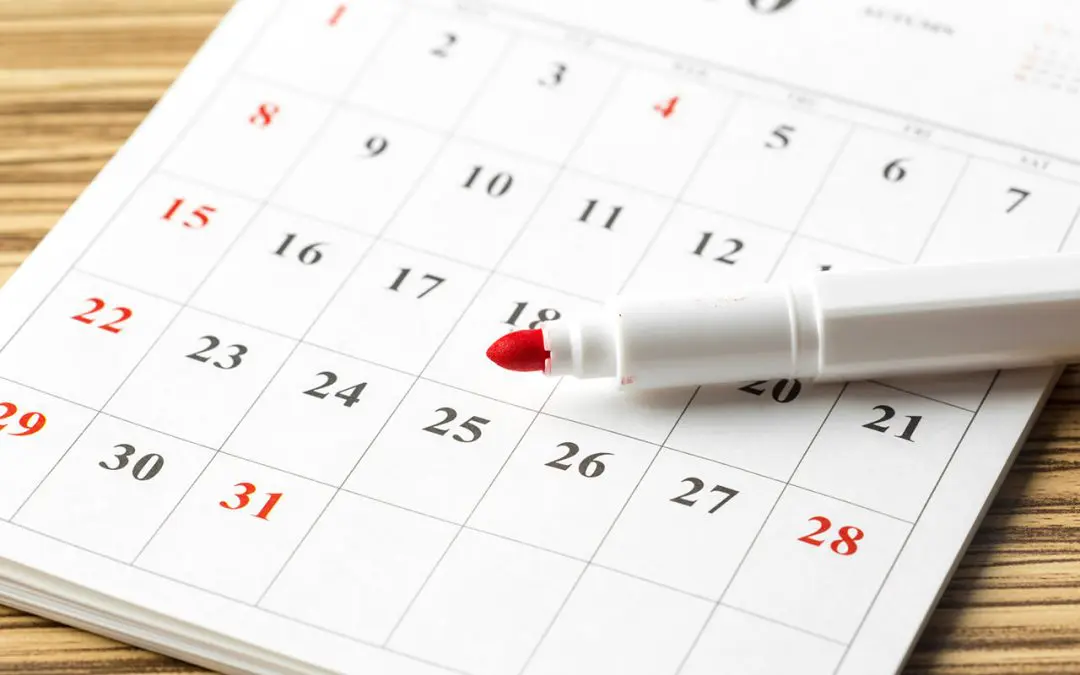 Create a Basic Home Maintenance Schedule