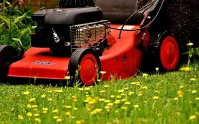 Summer Lawn Care: How to Keep Your Yard Looking Its Best All Season Long