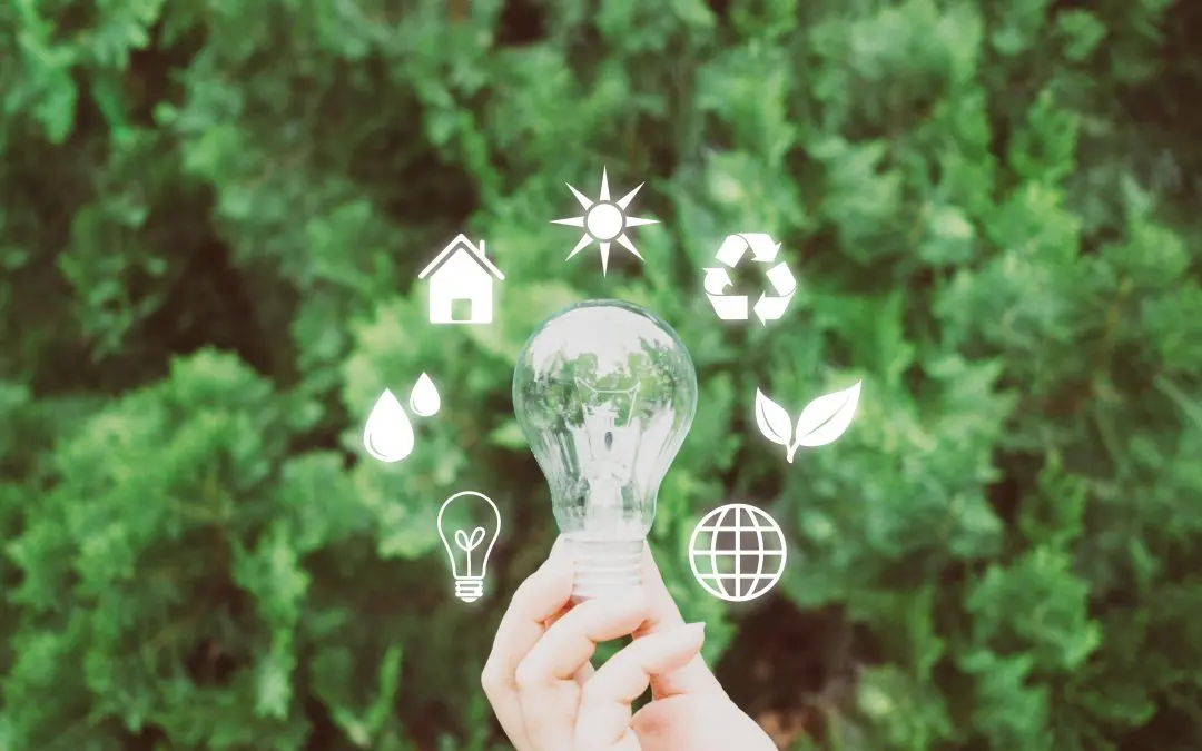 Green in the Right Places: Eco-Friendly Home Improvements That Actually Make a Difference